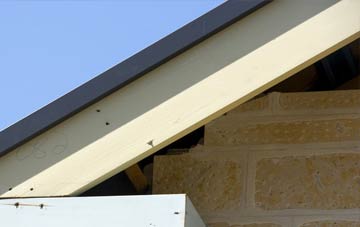 Dwyrhiw fascia repairs