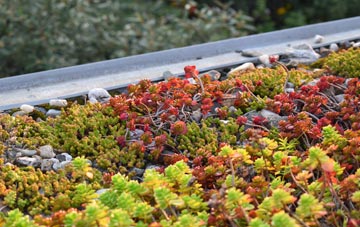 the cost of Dwyrhiw green roof installation
